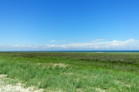Tendra Spit