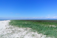 Tendra Spit
