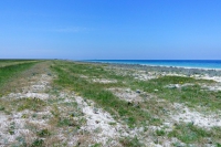 Tendra Spit