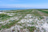 Tendra Spit