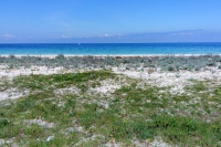 Tendra Spit