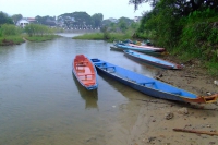 DSCF7014