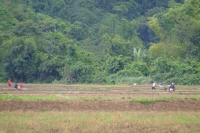 DSCF7040