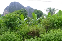 DSCF7049