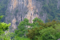 DSCF7051