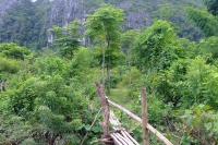 DSCF7066