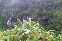 DSCF7079