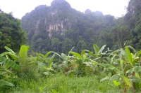 DSCF7080