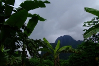 DSCF7081