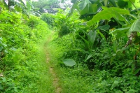 DSCF7087