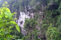 DSCF7088