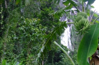 DSCF7090