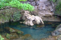 DSCF7091