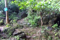 DSCF7093