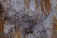 DSCF7098