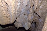 DSCF7101