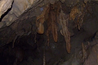 DSCF7103