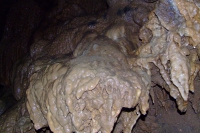 DSCF7106
