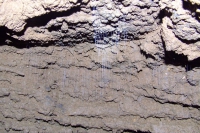 DSCF7108