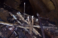 DSCF7111