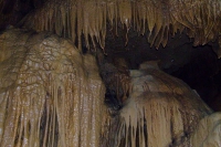 DSCF7114