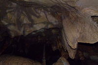 DSCF7115