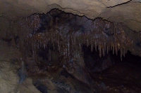 DSCF7116