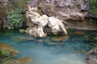 DSCF7117