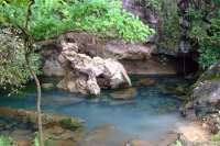 DSCF7124