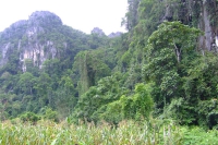 DSCF7131