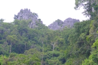 DSCF7132