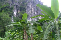 DSCF7134