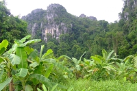 DSCF7135