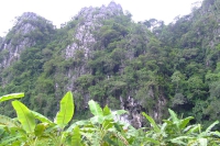 DSCF7137