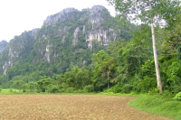 DSCF7141