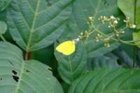 DSCF7145