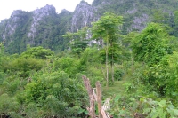 DSCF7153