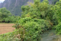 DSCF7169
