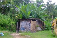 DSCF7317