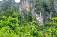 DSCF7434