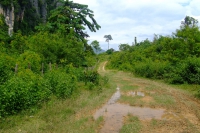 DSCF7435