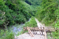 DSCF7463