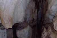 DSCF7480