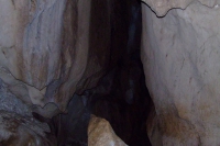 DSCF7482