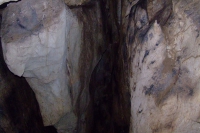 DSCF7495