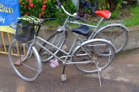 DSCF6653