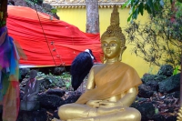 DSCF6662