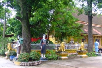 DSCF6666