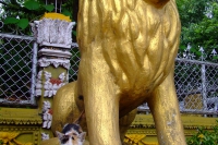 DSCF6670