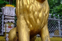 DSCF6671